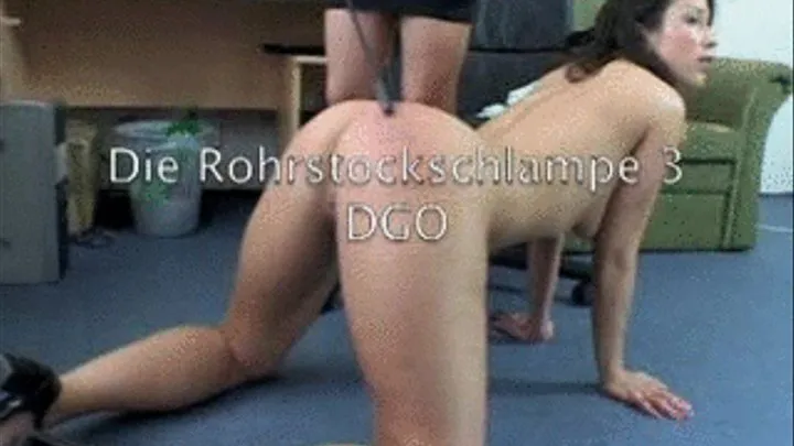 DGO56 The Caning Bitch Clip 3