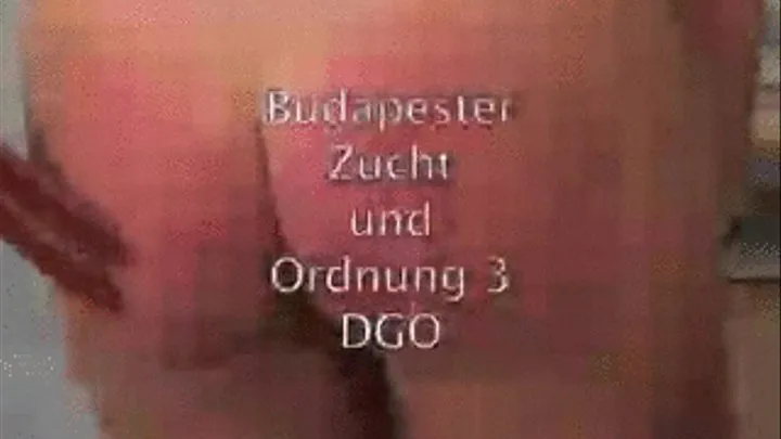 DGO50 Law and Order in Budapest Clip4