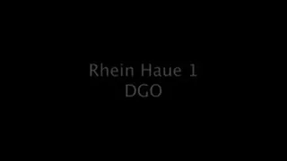 Rhein Haue 1 Blows on the Rhine1