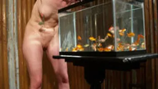 Mobile Media Format - Elise & The Fish Tank Orgasm