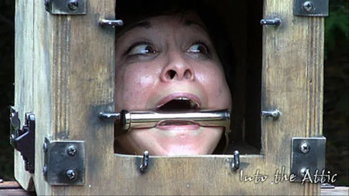 - Mei Mara's Electro Shock Therapy Inside A Cage