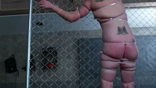 Magik Gets Zip Tied To A Kennel