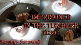 Imprisoned in the tumbler