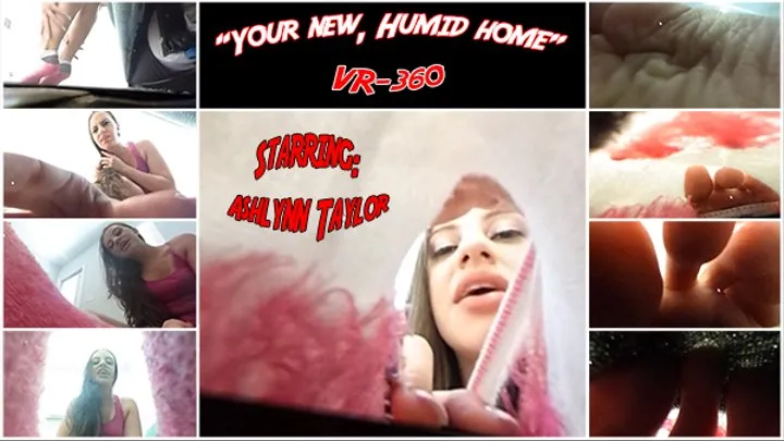 Your new, Humid home - VR-360