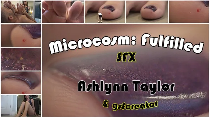 Microcosm: Fulfilled - SFX