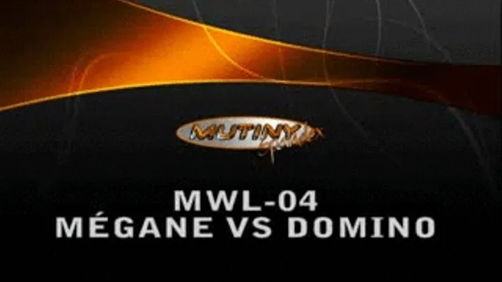 MSP-04 Domino vs Mégane