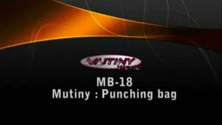 MB-19 Mutiny vs Punching Bag