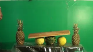 These Melons Put Up A Fight!