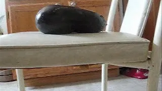 Eggplant Butt Drops