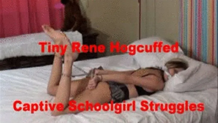 Tiny Renee Hogcuffed At Home Preview