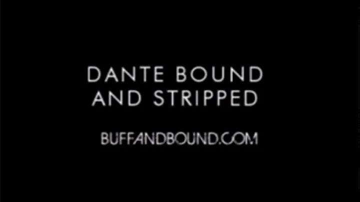 Dante Bound and Stripped