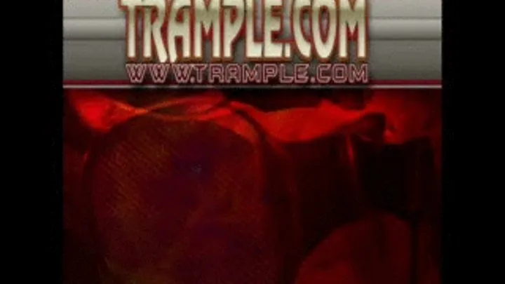 Trample Trio scene 1