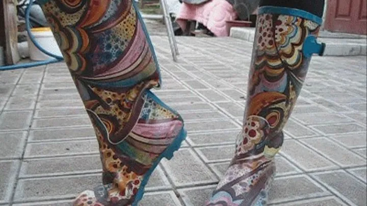 gumboots (rain boots)