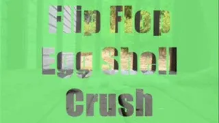 Flip Flop Egg Shell Crush