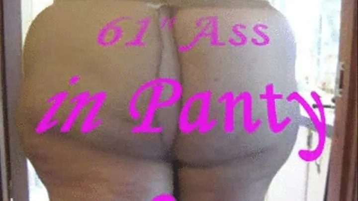 Big 61" Ass In Panty Hose