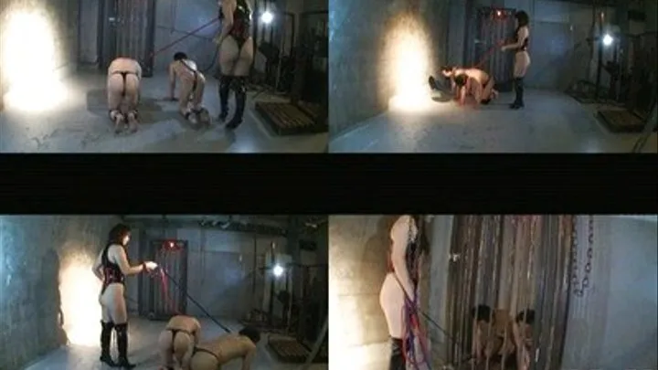 After teaching tricks, mistress walks ponyboys in their cage - Full version ( - AVI Format)