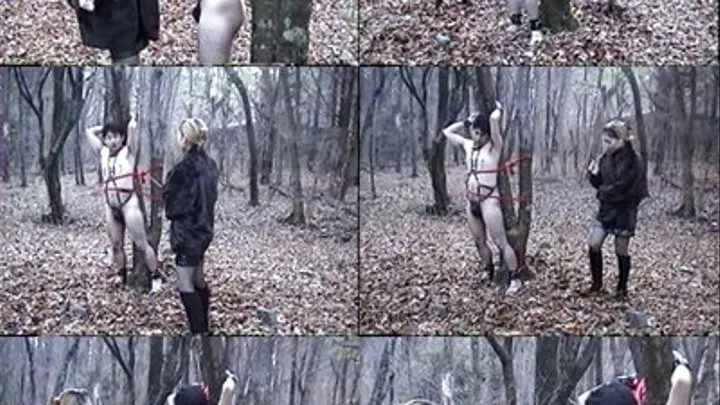 Helplessly Beaten Outdoors - KSD-006 - Full version