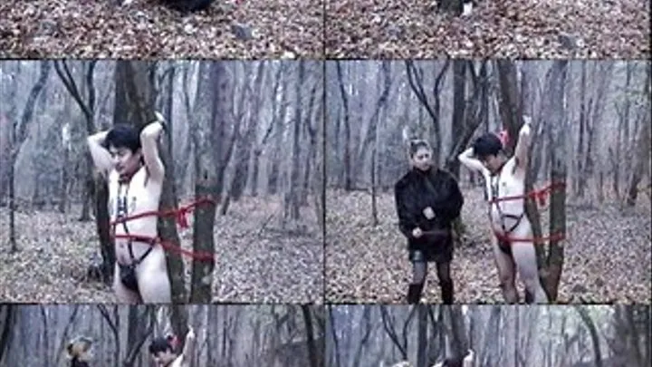 Helplessly Beaten Outdoors - KSD-006 - Part 2 (Faster Download - )