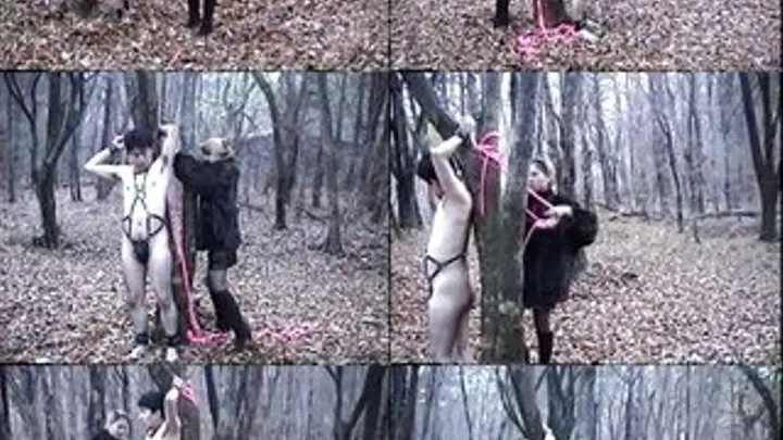 Helplessly Beaten Outdoors - KSD-006 - Part 1 (Faster Download - )