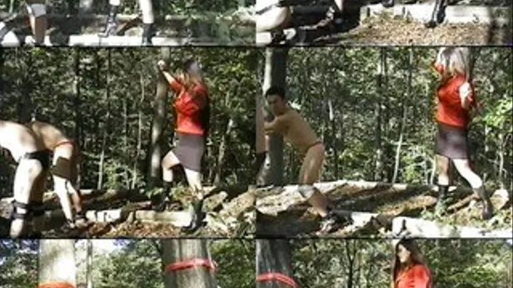 Caned In The Woods - KSD-005 - Full version (Faster Download - )