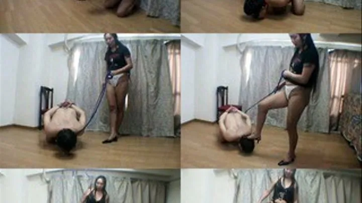 Caned Pony Slaves - KKVD-003 - Full version (Faster Download - )