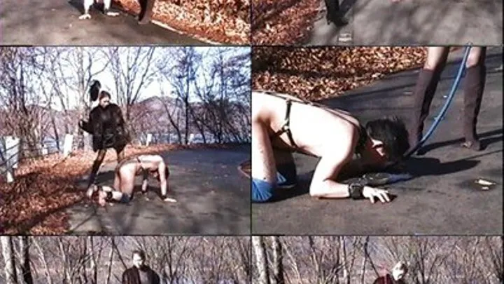 Pony Slave Begs For Rest - KSD-006 - Part 3 ( - AVI Format)