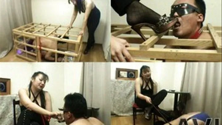 Caged Human Feet Takes Hunger Out Of Mistress's Feet! - Part 1 (Faster Download - )