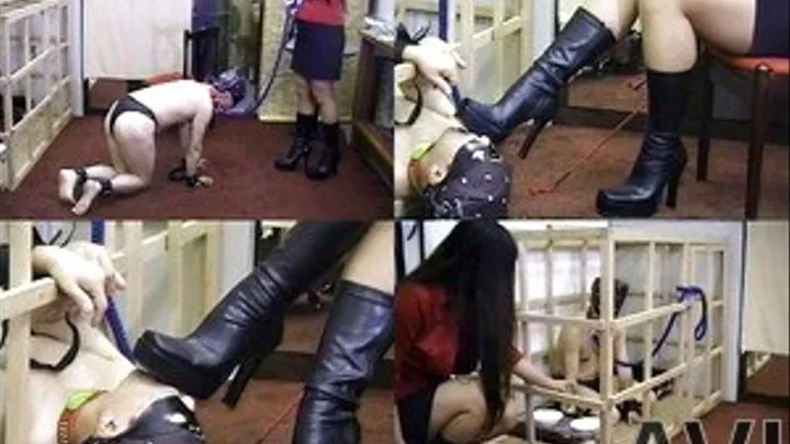 Caged Wimp Licks Mistress High Heeled Boots! - Full version (Faster Download - )