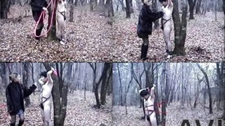 Vicious Wife Tied Up and Left Cheating Husband Naked In The Woods - Full version (Faster Download - )