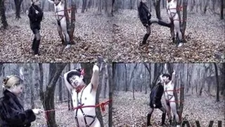 Cheating Husband Tied On A Tree For Outdoor Corporal Punishment - Full version (Faster Download - )