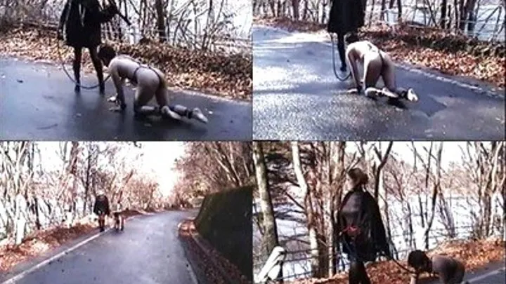 Human Pet Goes Out Naked For A Stroll With Strict Domme - Full version ( - AVI Format)