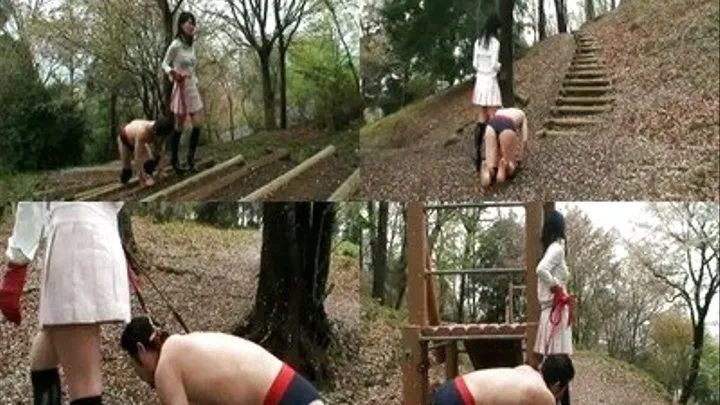 Mistress Let Ponyboy Experience A Stroll In The Park! - Full version