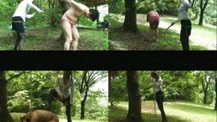 Outdoor Observed As Domina Ties Up Slave On Tree For Nonstop Back Lashing