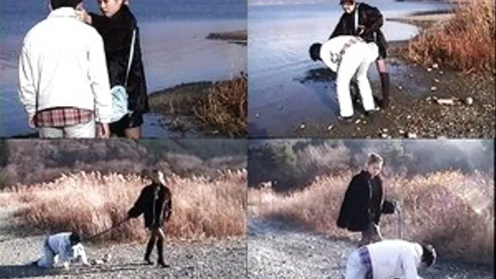 Human Pet To Walk By The Shore