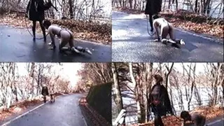 Human Pet Goes Out Naked For A Stroll With Strict Domme