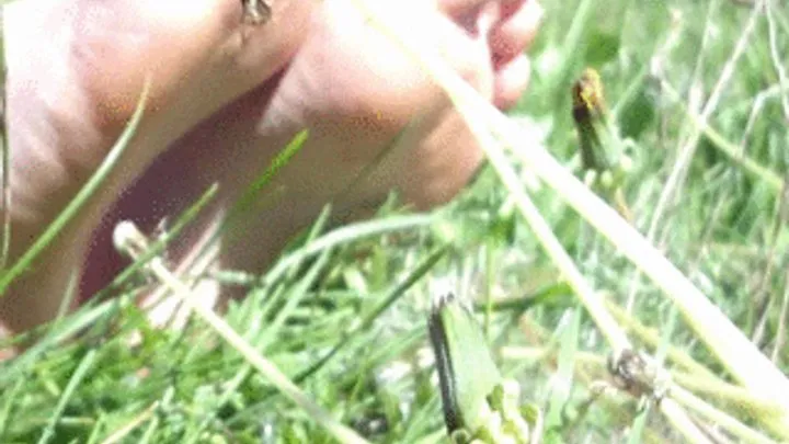 Miss D - Sweaty soles in grass