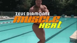 Muscle Heat - Zeus Diamonte