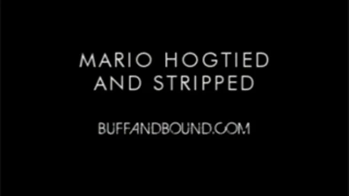 Mario Hogtied and Stripped