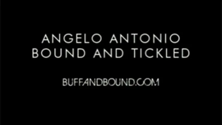 Angelo Antonio Bound and Tickled