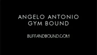 Angelo Antonio Gym Bound featuring Frank The Tank