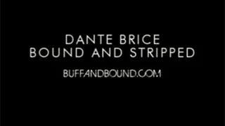 Dante Brice Bound and Stripped