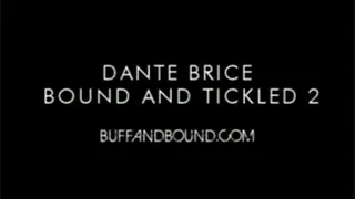 Dante Brice Bound and Tickled 2