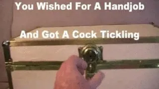 You Wished For A Handjob Preview