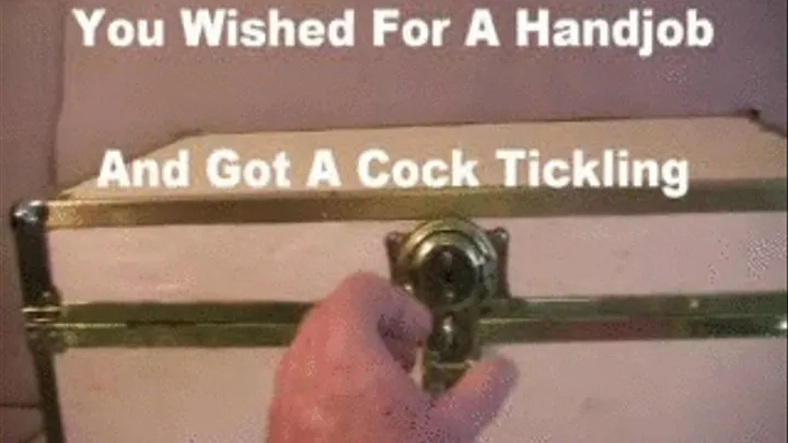 You Wished For A Handjob Preview