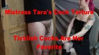 Mistress Tara's Cock Streaming