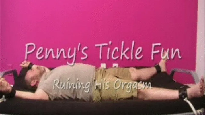 Tiny Penny's Tickle Fantasy