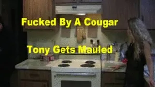 Fucked By A Cougar Preview