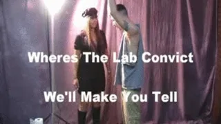 Wheres The Lab Convict? Preview