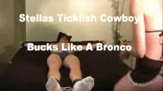 Stella's Ticklish Cowboy Streaming