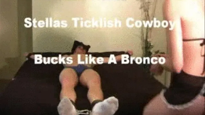 Stella's Ticklish Cowboy Preview